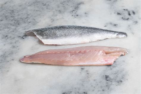 Fresh Sea Bass Fillets | Fillet of Seabass | Regal Fish