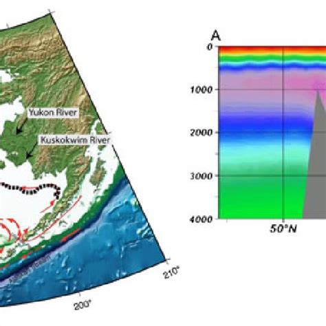 Left Bering Sea Bathymetry Surface Circulation Red Arrows Download Scientific Diagram