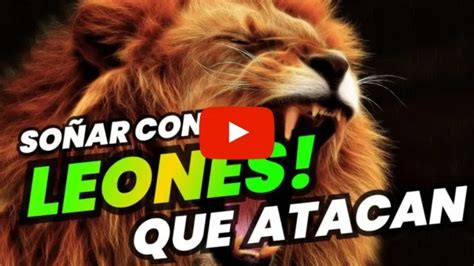 Qué Significa Soñar con Leones que Atacan Significado Real