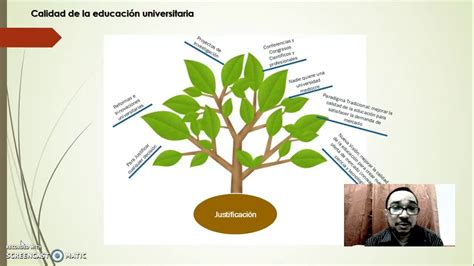 Top 37 Imagen Mapa Mental Arbol Viaterra Mx