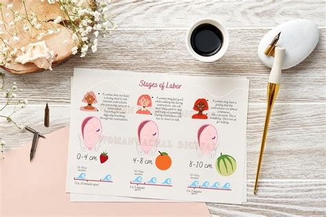 stages  labor  delivery poster  birth stages cards etsy