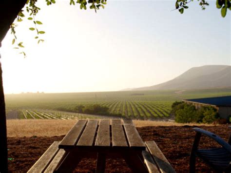 Wineries & Tasting Rooms of Santa Barbara County | Santa Barbara Vintners