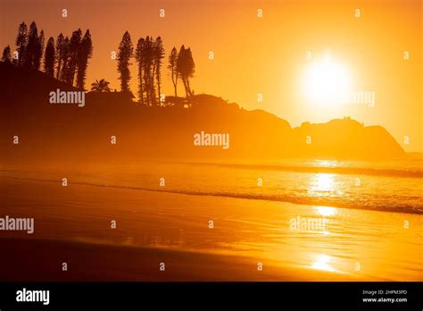 Sunrise On Ocean Beach With Waves And Rocks With Trees Joaquina Beach