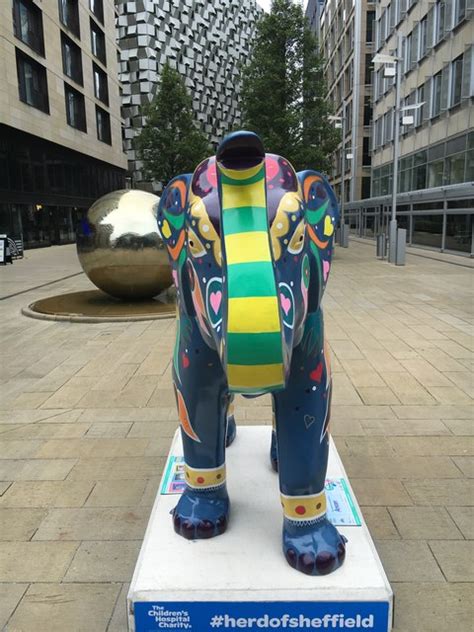 Herd Of Sheffield Holi Graham Hogg Geograph Britain And Ireland