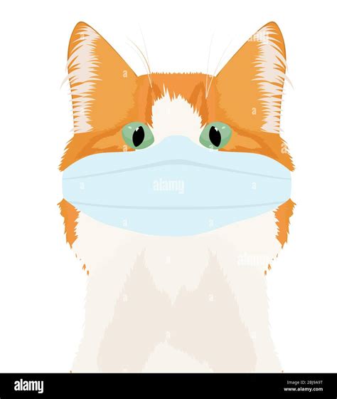 cat in a medical mask. ginger cat with green eyes vector illustration ...