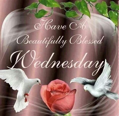 Beautifully Blessed Wednesday Pictures Photos And Images For Facebook