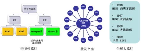 王大燕主任：近期国内外流感流行情况介绍丨解密流感（1） 腾讯新闻