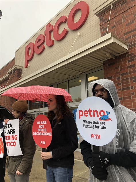 So Wrong: Betta Fish Found Sick and Dying at Petco | PETA