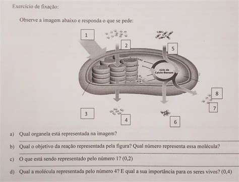 Observe A Imagem Abaixo E Responda - PRECISO DE MUITA URGÊNCIA Observe a imagem abaixo e responda o que se ...
