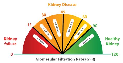 CHRONIC KIDNEY DISEASE (CKD)