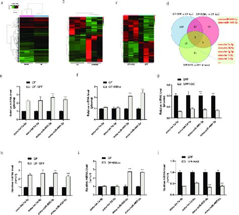 Gut Microbiota Regulates The Expression Of Mirnas A C Rna Deep