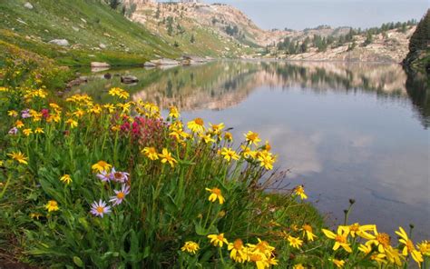 Backpacking The Beartooths In Late Summer A Yellowstone Life