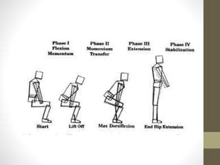 Biomechanics of Sit to Stand | PPT