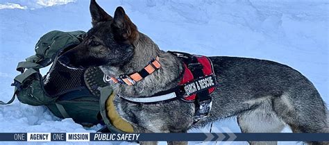 Benefits for Volunteer Departments | Larimer County