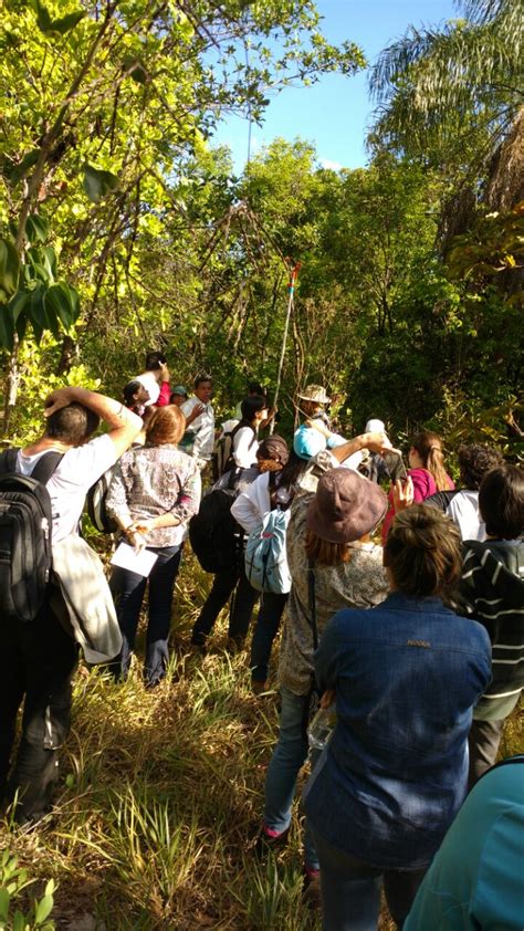 WWF Brasil apoia curso de restauração ecológica no Pantanal e no