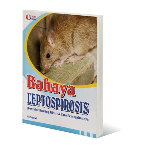 Jual Bahaya Leptospirosis Penyakit Kencing Tikus And Cara Pencegahannya