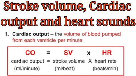 Hemodynamics Flashcards Quizlet