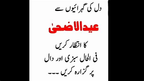 Bakra Eid Special Funny Poetry And Quotes In Urdu Youtube