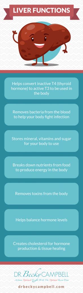 Liver Functions - Dr. Becky Campbell