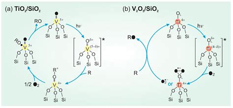 Catalysts Free Full Text Recent Advances In Selective Photo