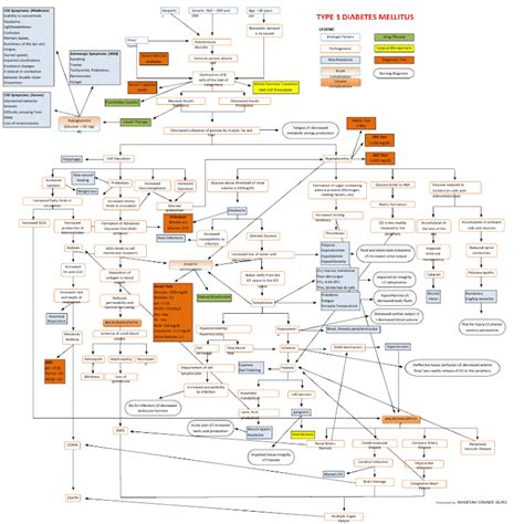 Nursing Concept Map Diabetes Mellitus