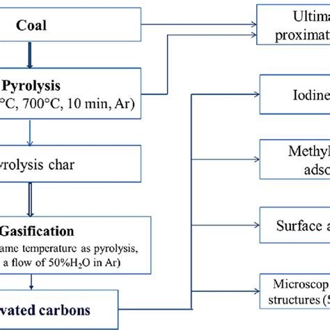 Different Stages of Coal Formation | Download Scientific Diagram