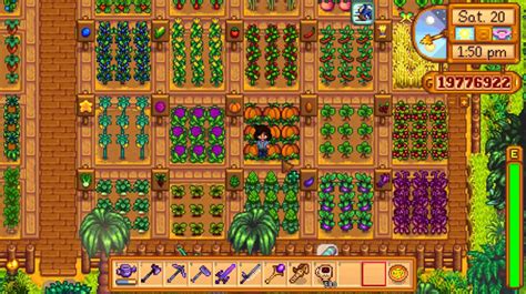 From Self Sufficiency To Aesthetics Discover The Best Stardew Valley