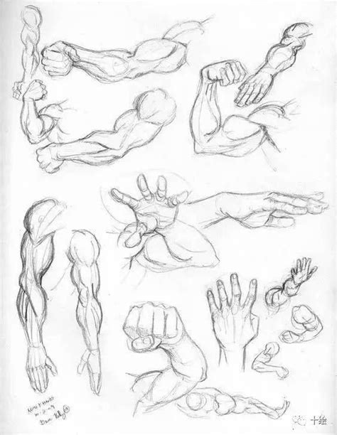 Pin De Alexandre Caron Em Draw Tutorials Desenho Corpo Humano