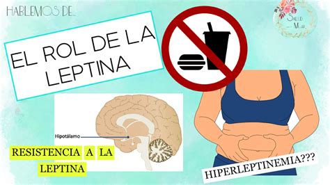 Rol De La Leptina Salud Para La Mujer