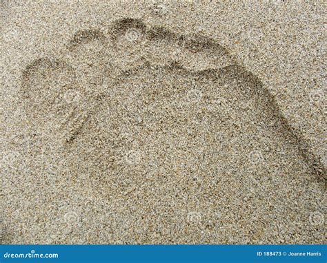 Empreinte De Pas Dans Le Sable Image Stock Image Du Pieds Seaside