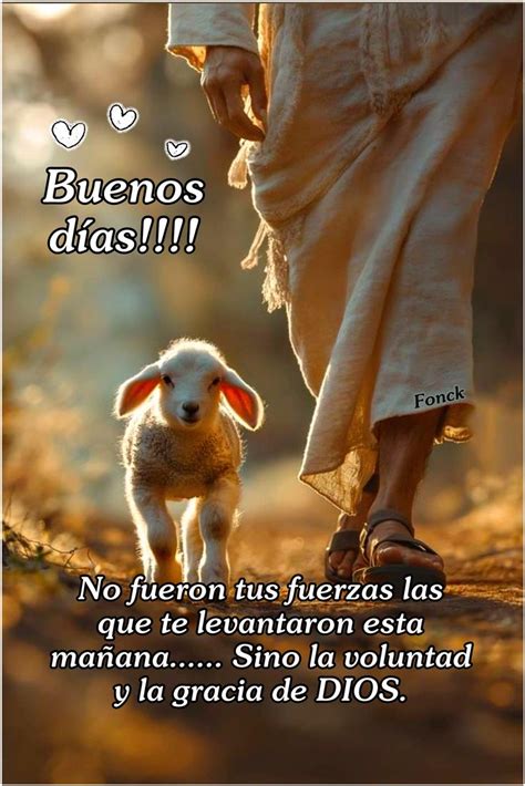 Pin by ANA FONCK on BUENOS DÍAS Y NOCHES in 2024 Morning quotes