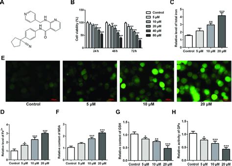 Apatinib Inhibits Cell Viability And Promotes Ferroptosis In Hct