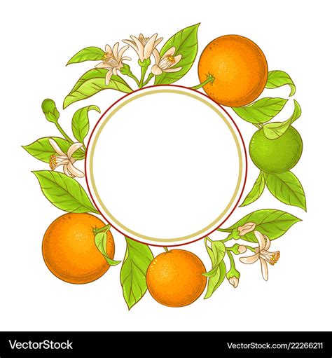 Orange Branch Frame Royalty Free Vector Image Vectorstock