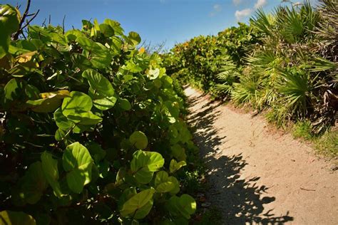 Blowing Rocks Preserve – Imagine Our Florida, Inc