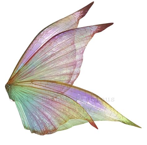 20 Png FAIRY WING Overlays Set 5 Fairy Wings Overlays Gothic