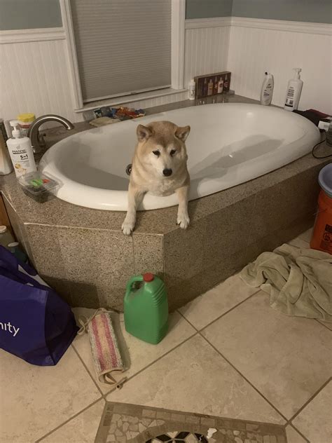 Which President Got Stuck In A Bathtub 7