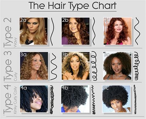 Hair Type Chart