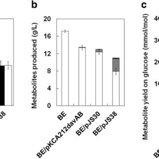 Growth And Production Characteristics Of The C Glutamicum Be Strain