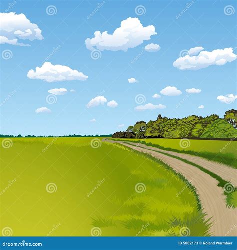 Route De Campagne Illustration De Vecteur Illustration Du Vert 5882173