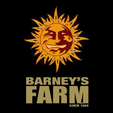 Barney's Farm - Photoperiod » Cannabis Seeds at North Atlantic Seed Co ...