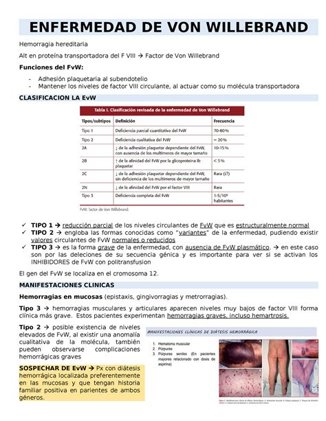 Enfermedad De Von Willebrand Enfermedad De Von Willebrand Hemorragia Hereditaria Alt En