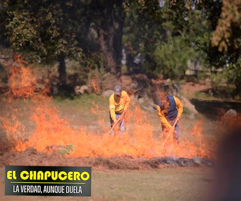 Llaman A Veracruzanos A Evitar Quemas Agr Colas Para Evitar Riesgos En