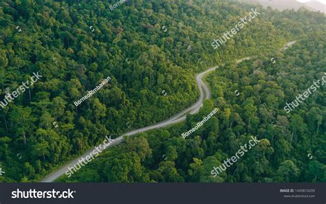 Aerial View Borneo Jungle Stunning View Stock Photo 1449810209 ...