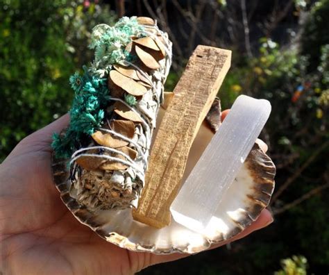 Innermind White Sage With Eucalyptus Smudge Set Palo Santo Shell