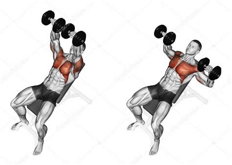 Dumbbell bench press while lying on an incline bench Stock Photo by ...