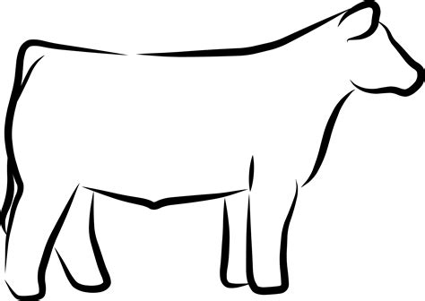 Show Steer Outline