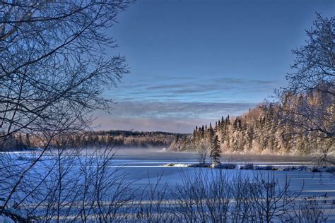 Bildet Landskap Tre Vann Natur Gren Fjell Sn Kald Vinter