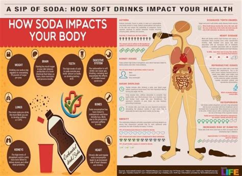 Carbonated Soft Drinks Health Hazards Isma Times