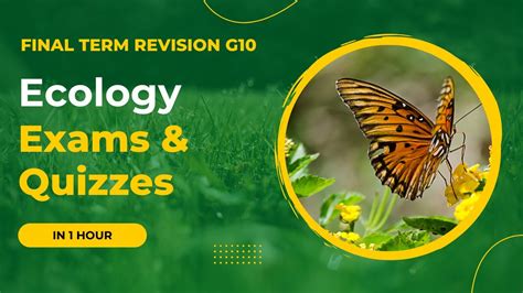 Solving Ecology Exams Quizzes STEM Biology G10 Semester 2 YouTube