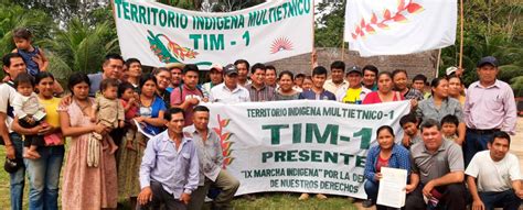 Los Pueblos Ind Genas Del Territorio Ind Gena Multi Tnico Tim A N